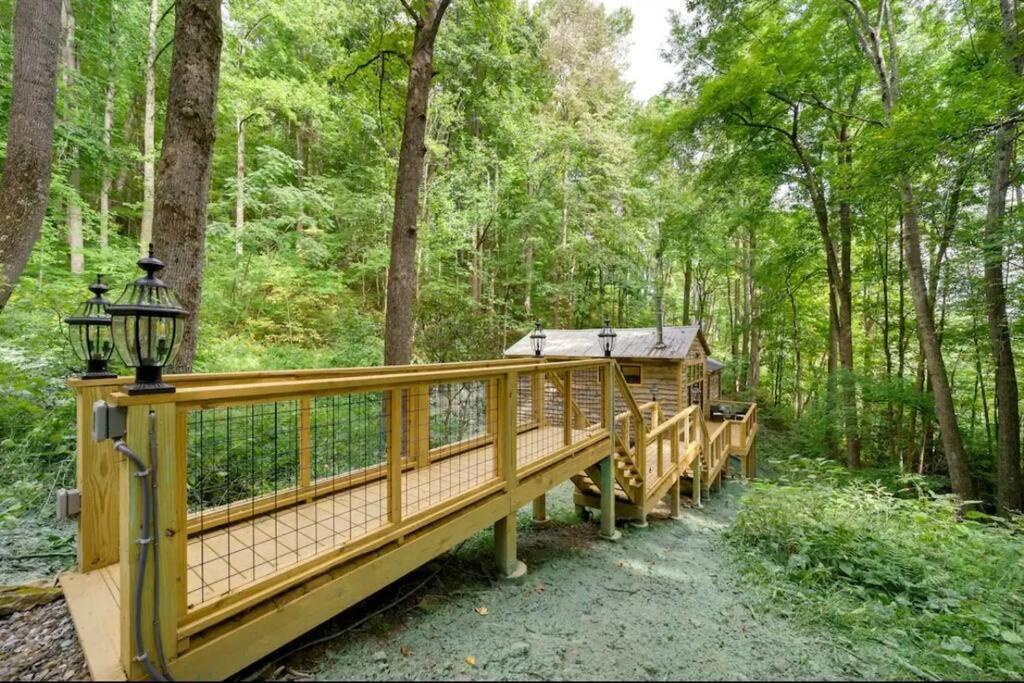 Outdoor Enthusiast'S Dream Cabin Hiking & Rafting Hot Springs Esterno foto